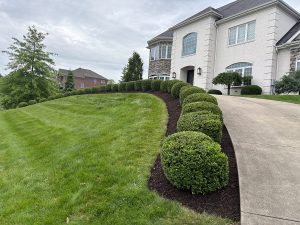 Affordable Front Yard Landscaping Projects To Improve Your Curb Appeal