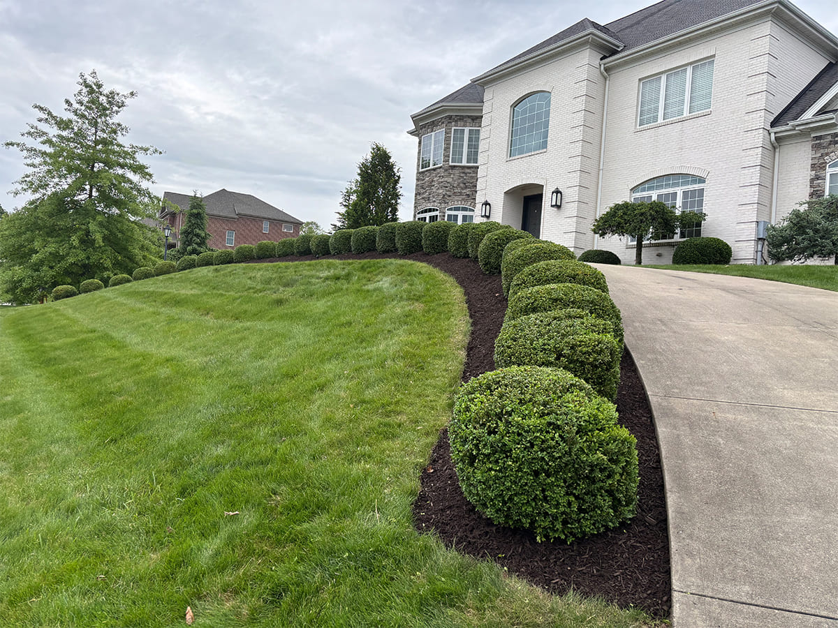 Affordable Front Yard Landscaping Projects To Improve Your Curb Appeal