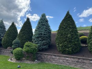Backyard Landscaping Ideas For Large Yards