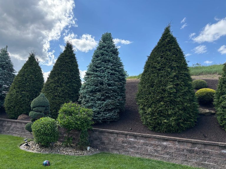 Backyard Landscaping Ideas For Large Yards