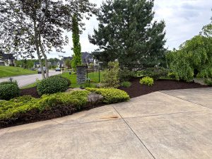 Popular Softscape Landscaping Ideas