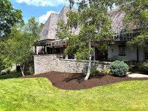 Should You Install Your New Lawn Using Seed Or Sod