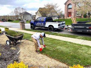 Drought Tolerant Landscaping Or Xeriscaping