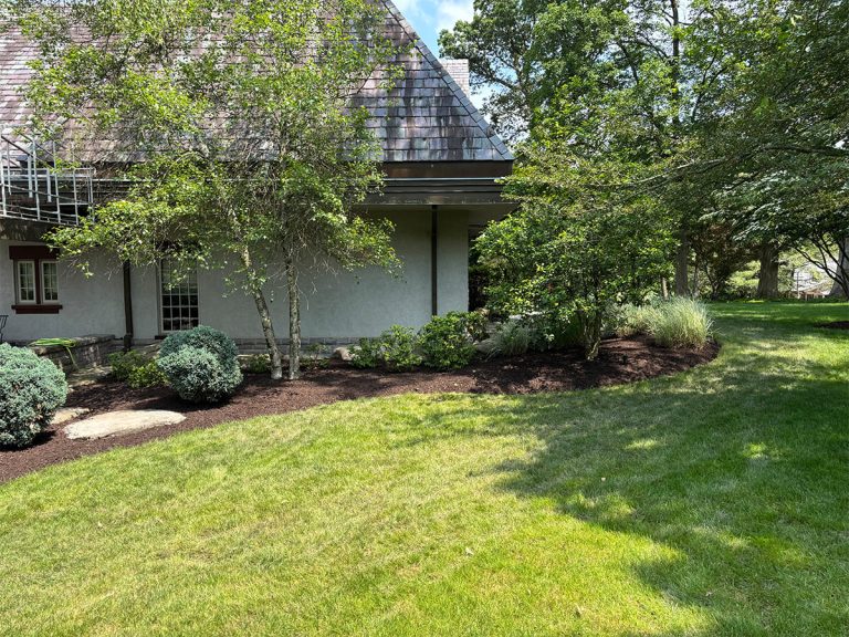 Tips For Landscaping In A Small Backyard