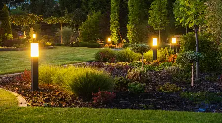 Landscape Lighting