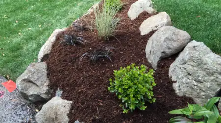 Mulch Installation