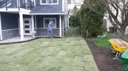 Sod Installation