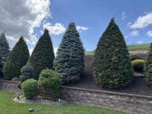 Mulch Installation Services in Canonsburg PA