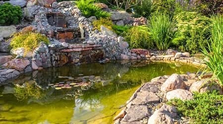 Landscape Maintenance- Larkin