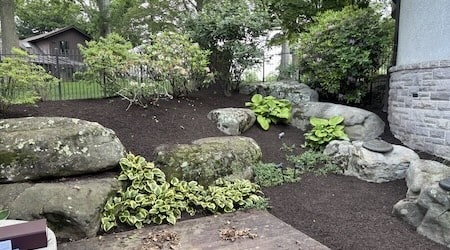 Larkin Landscape - Landscape Maintenance