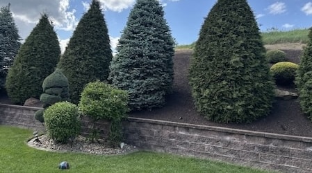 Larkin Landscaping - Landscape Maintenance Service