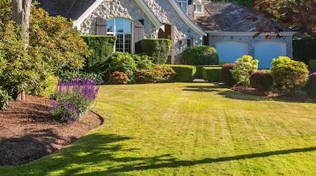 Lawn Installation