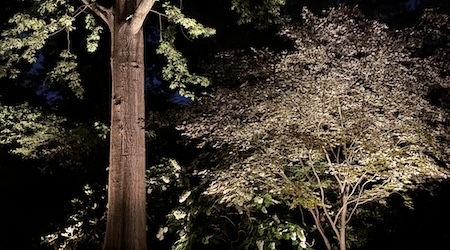 Landscape Lighting