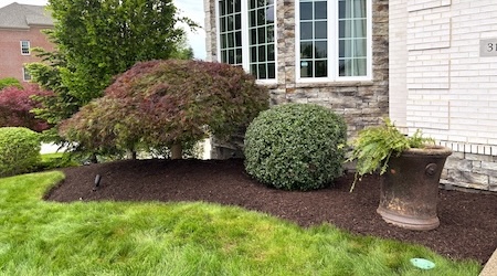Mulch-Landscaping