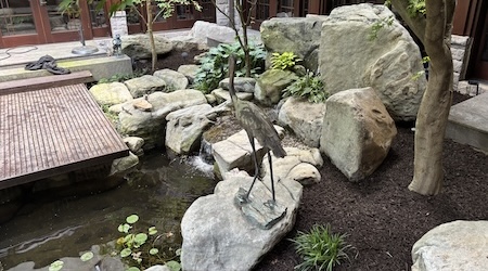 Rocks Landscaping