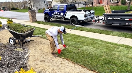 Sod Installation