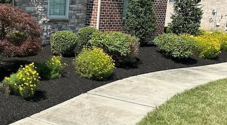 Landscape Maintenance