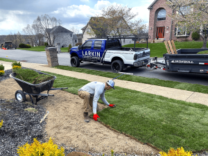 What Are the Most Common Myths About Sod